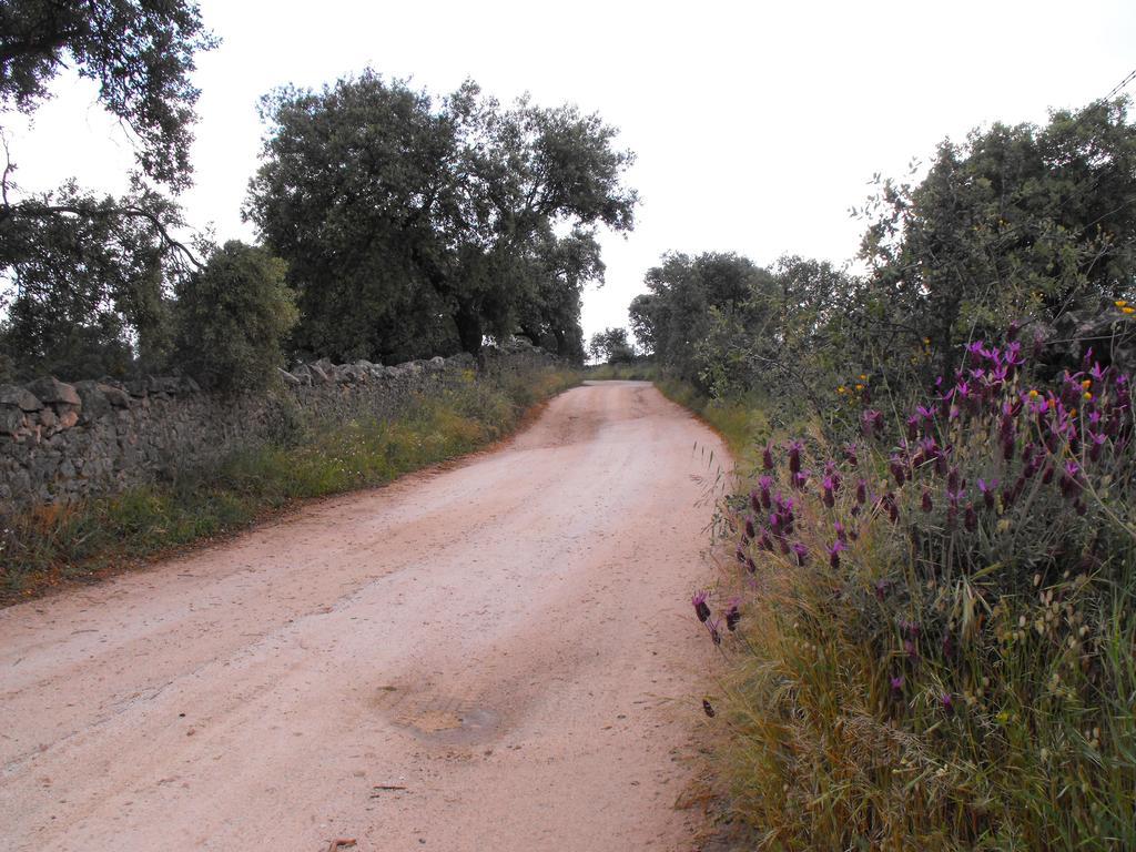Apartamentos La Venta Del Charco Cardeña Εξωτερικό φωτογραφία